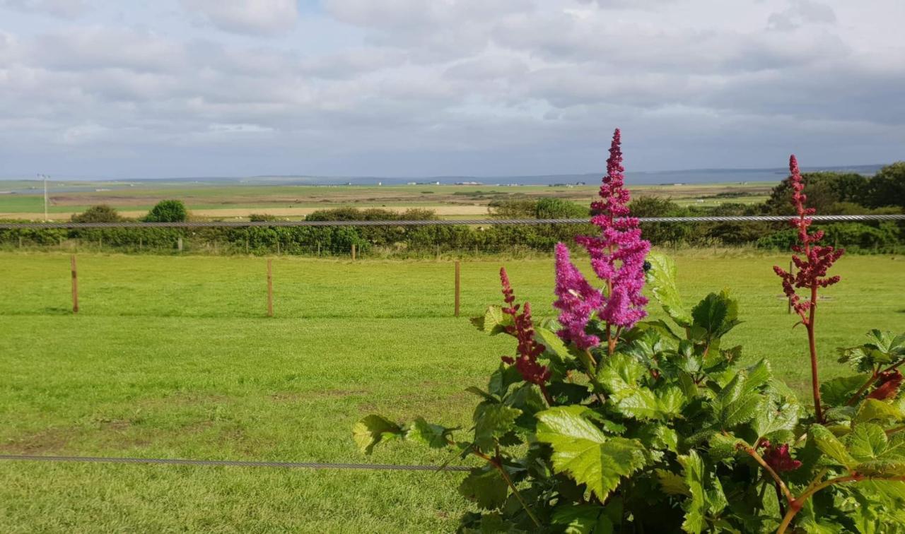 Lilly'S Lodges Orkney Hedgehog Lodge Finstown エクステリア 写真