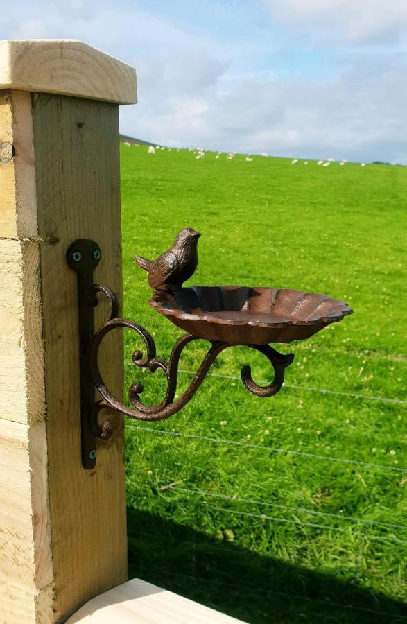 Lilly'S Lodges Orkney Hedgehog Lodge Finstown エクステリア 写真