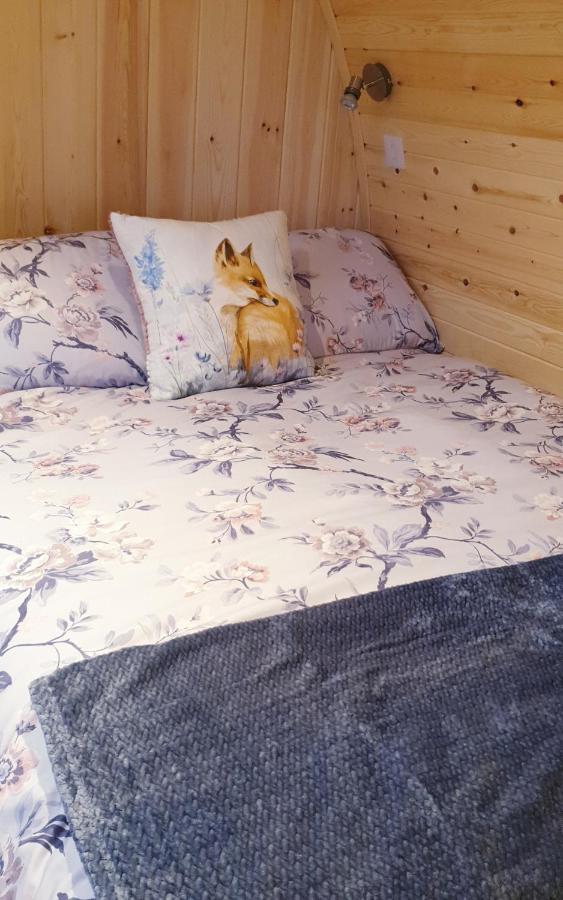 Lilly'S Lodges Orkney Hedgehog Lodge Finstown エクステリア 写真