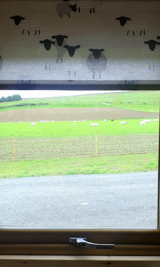Lilly'S Lodges Orkney Hedgehog Lodge Finstown エクステリア 写真